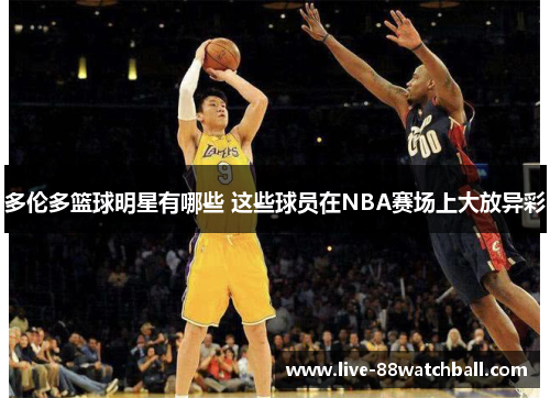 多伦多篮球明星有哪些 这些球员在NBA赛场上大放异彩