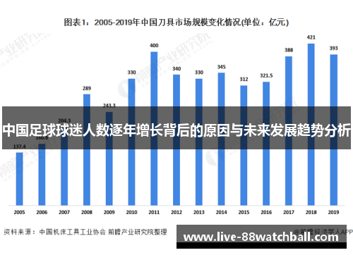 中国足球球迷人数逐年增长背后的原因与未来发展趋势分析